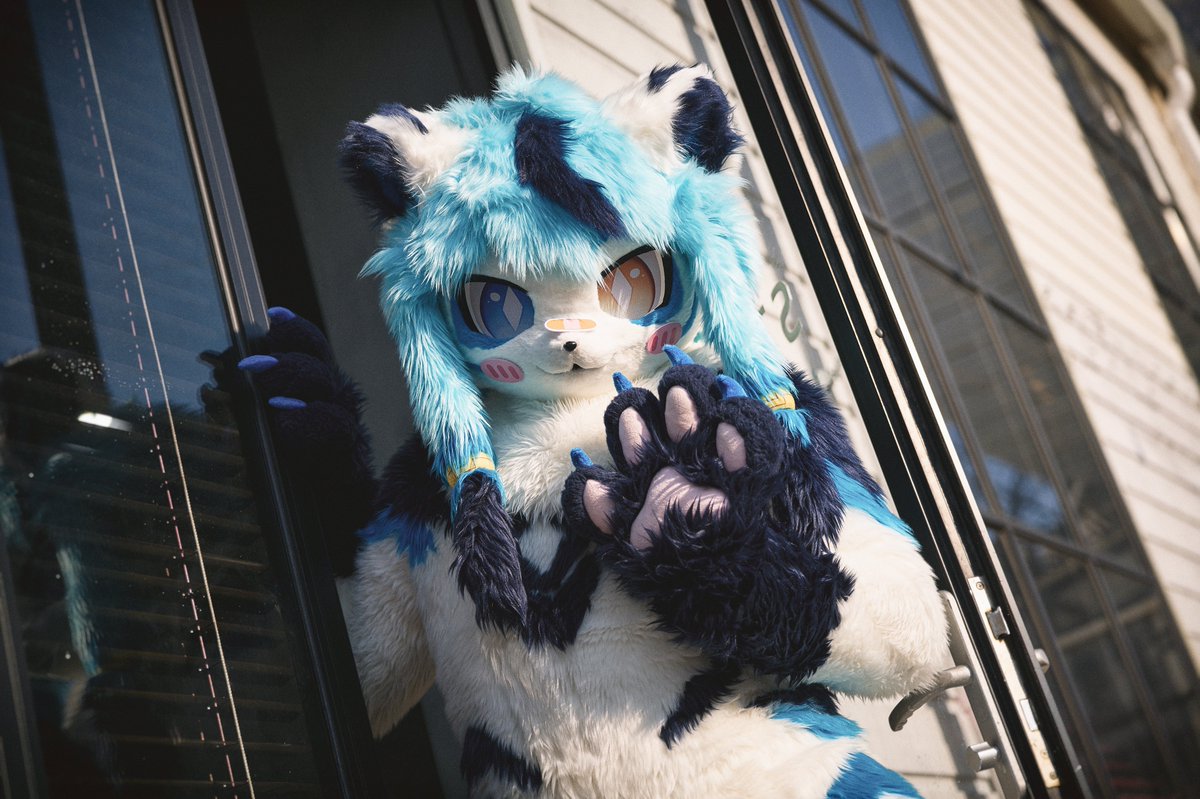 호요
🐾 <a href="/HOYO_110/">HOYO (호요)</a>