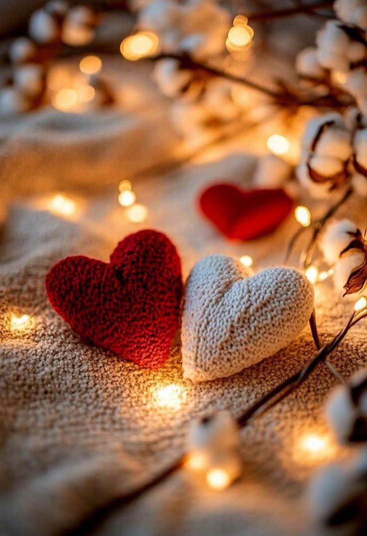 عندما تجد من يحبك تمسك بيه حاول الاقتراب منه أكثر