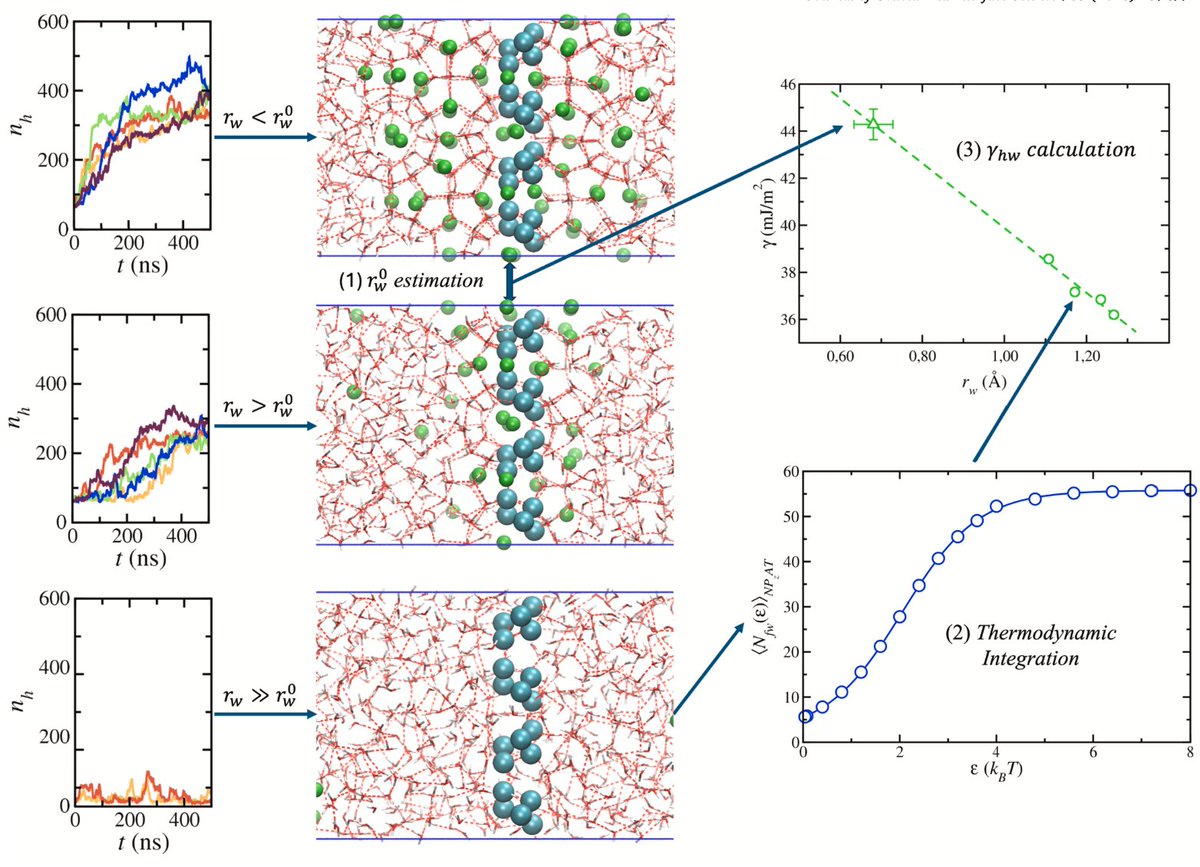 felipejblas's tweet image. Article from &quot;Molecular Simulation and Computational Chemistry Laboratory&quot;:   Unveiling the methane hydrate–water interfacial free energy through
direct molecular simulation at coexistence conditions

doi.org/10.1016/j.jcis…
@CIQSO_UHU  
@felipejblas 
#WeAreUniversidaddeHuelva