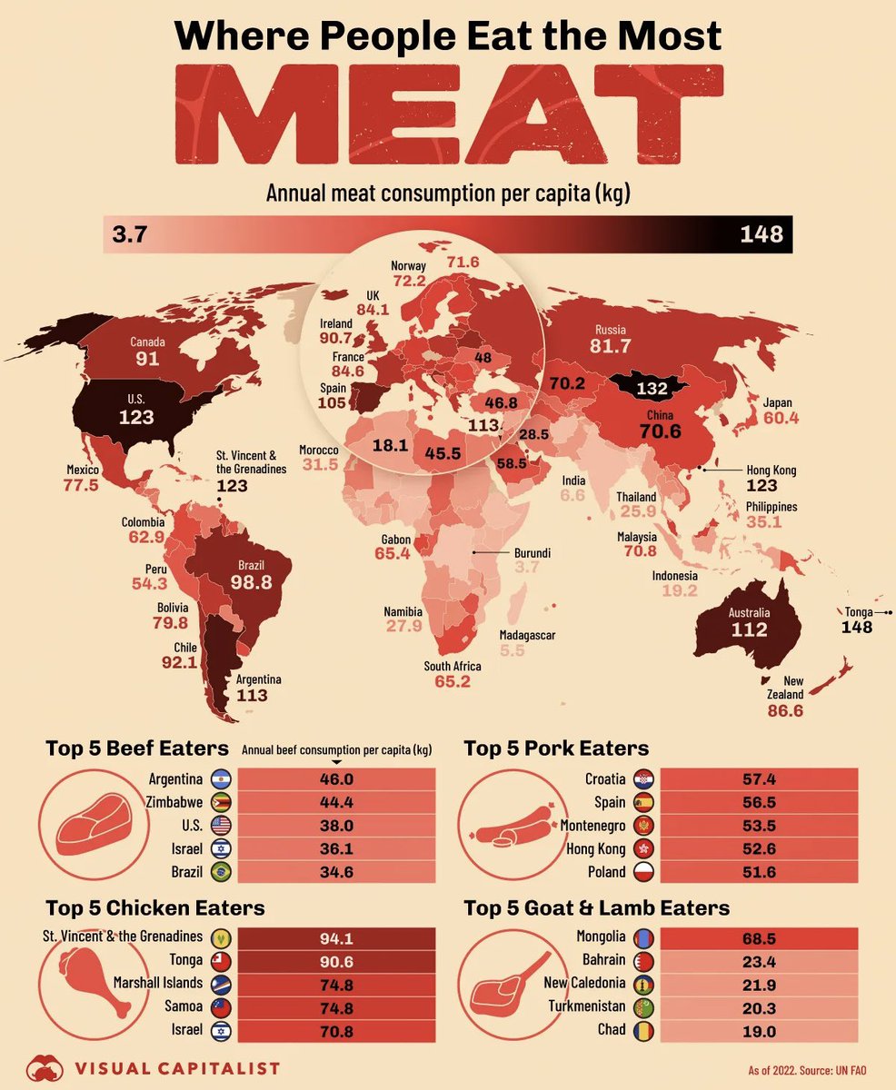 Consumo de carne por pessoa/ano (2022 – FAO)
🥩 TOP CARNE BOVINA
1.  Argentina🇦🇷 → 46,0 kg
2.  Zimbábue → 44,4 kg
3.  EUA → 38,0 kg
4.  Israel → 36,1 kg
5.  Brasil → 34,6 kg
🐷 TOP CARNE SUÍNA
1.  Croácia🇭🇷 → 57,4 kg
2.  Espanha → 56,5 kg
3.  Montenegro → 53,5 kg
4.  Hong