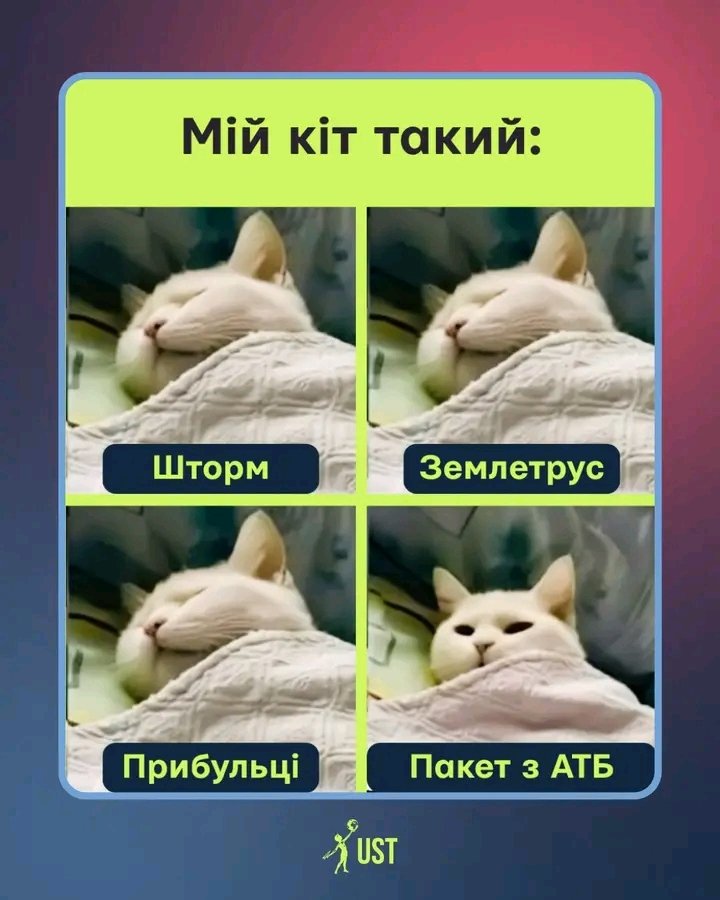 Andrej (@220newsua) on Twitter photo 