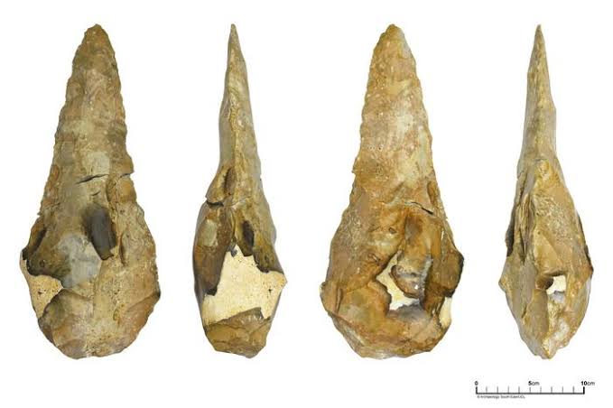 They also took the size of Theropithecus in consideration who were larger than present day Geladas, their only surviving cousions  and were equal to size to female gorillas and than the stone tools found near the butchering site including stone axes with a foot long blade.