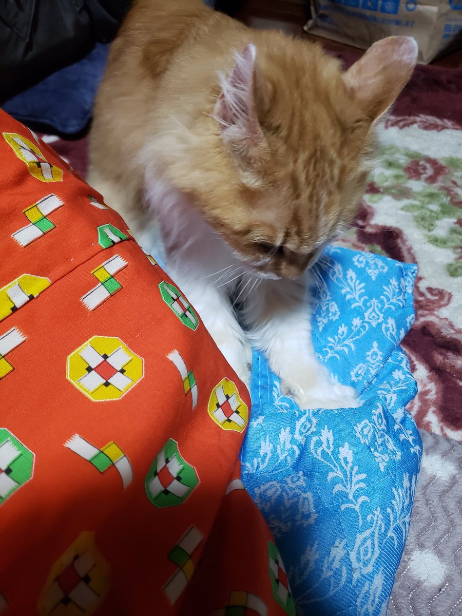 幼児退行トムくんԅ(ФωФԅ)ﾓﾐﾓﾐ…