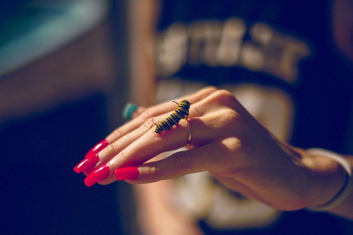 AUTHENCHECK's tweet image. 🚨Destiny calls, Founder! Lead the #Authentication revolution with the AUTHENCHECK® US Trademark &amp;amp; Domain Bundle.

Your vision deserves this. Act now - submit your offer at AuthenCheck.com!

#AI #Verification #Identity #FounderMode