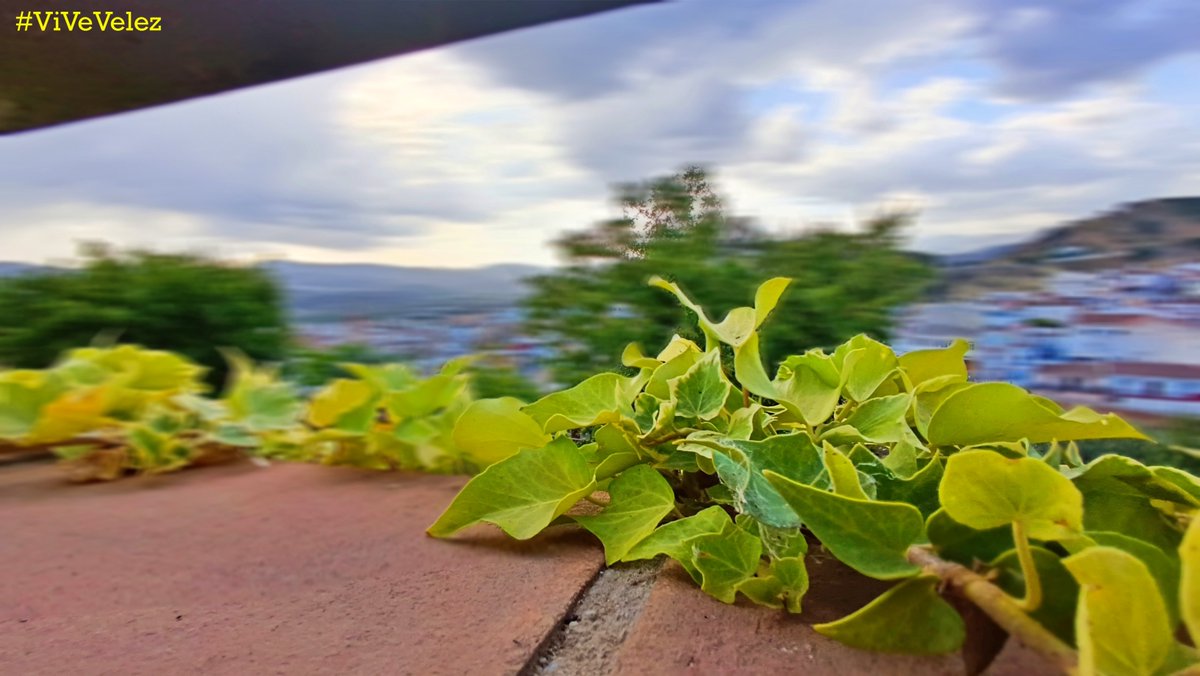 "Cada día es una página en blanco para escribir un capítulo increíble"