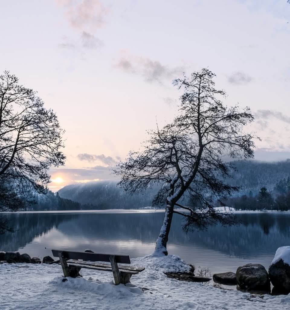 EdithPY2's tweet image. Lac de Longemer. Les #HautesVosges sont belles...