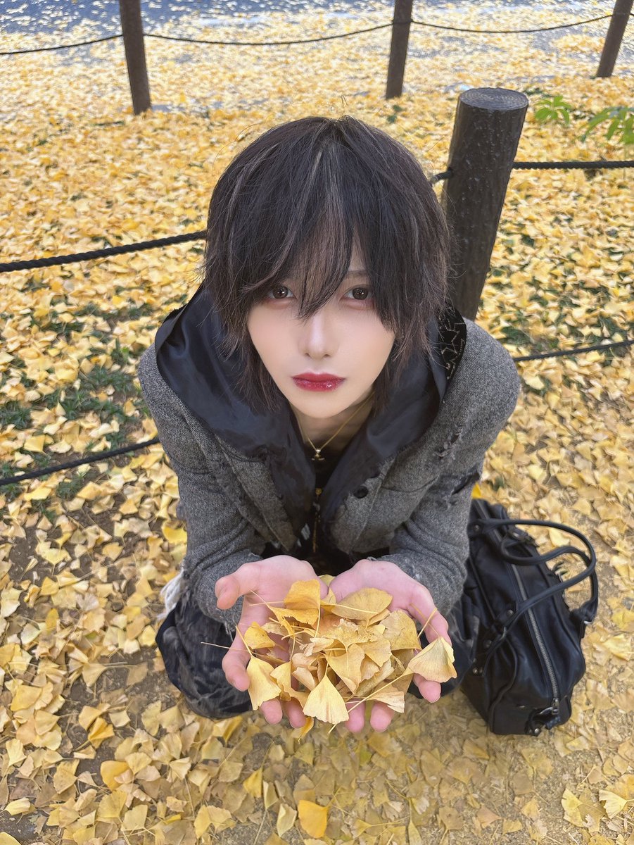 りょうた (@nyan22_ryota) / Posts / X