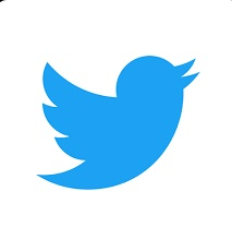 Dragondan4's tweet photo. @ElonMuskNews47 why are you pushing X so hard when no one wants it everyone wants twitter and the classic blue bird https://t.co/AhJNtrNGd1