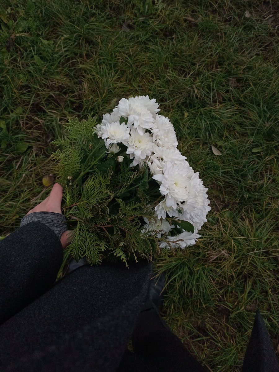 три місяці, кіт 💔