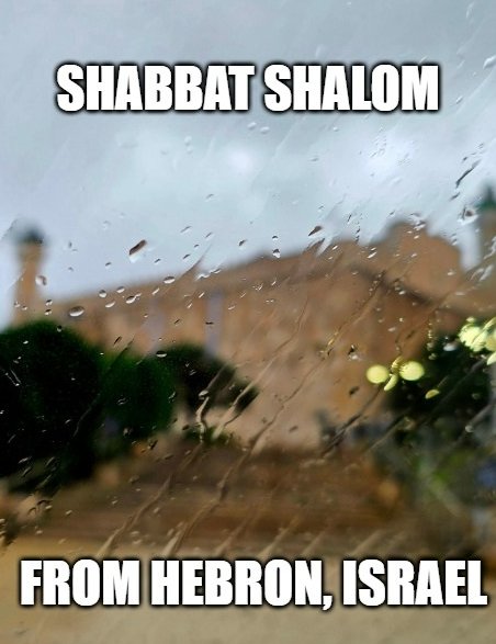 TheHebronFund1's tweet image. Shabbat shalom from a rainy
Hebron!