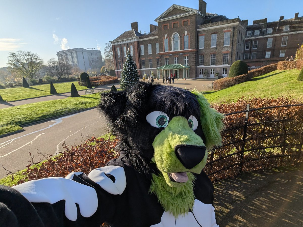 Starting my puppy adventure around London today, time to go see ALLLLL the places