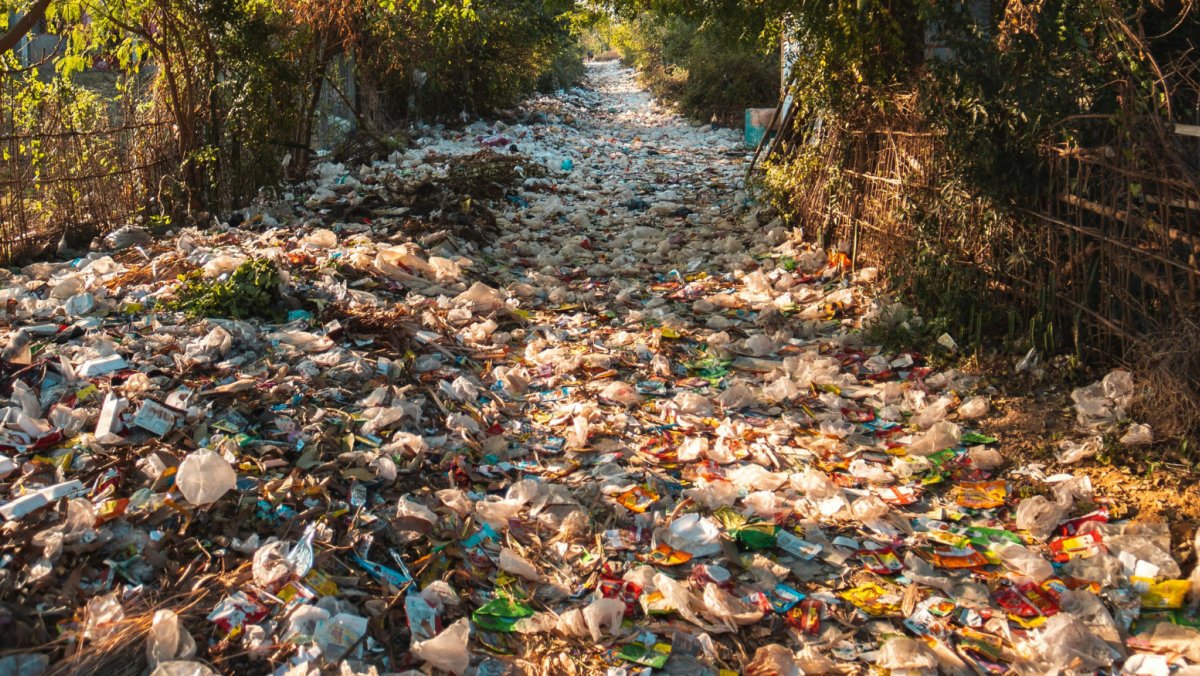 IneosOxford's tweet image. This #WorldAMRAwarenessWeek, IOI reflected on our progress to tackle AMR so far, and the challenges ahead.

Read a summary of how we marked World AMR Awareness Week here: ineosoxford.ox.ac.uk/news/ioi-marks…

#WAAW