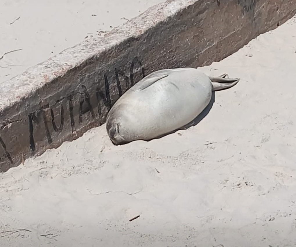 La vida me pide mucho y yo sólo necesito estar así