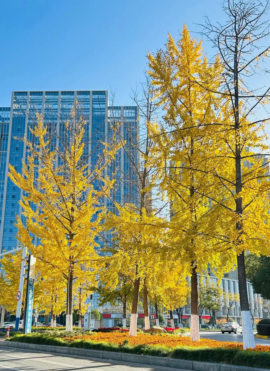 冬日暖阳  舒服