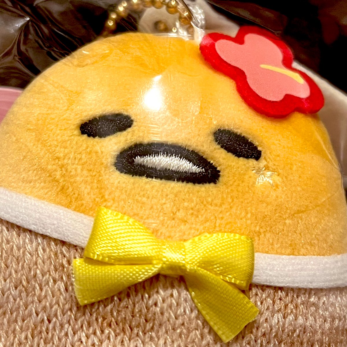 まぴこ🍥@9/7ヒプライ11th (@mappi55) / Posts / X