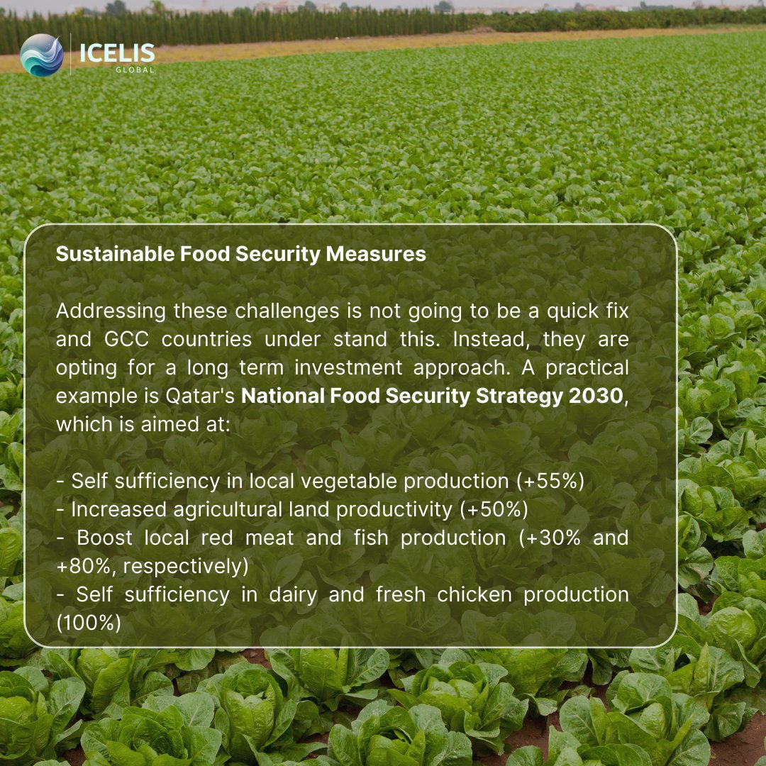 icelisglobal's tweet image. Food security in the GCC.

Beyond being a key aspect of #sustainability conversations and a focal point for regional development, food security remains essential as countries in the #GCC refocus efforts on reducing food import percentages.

However, looking past import…