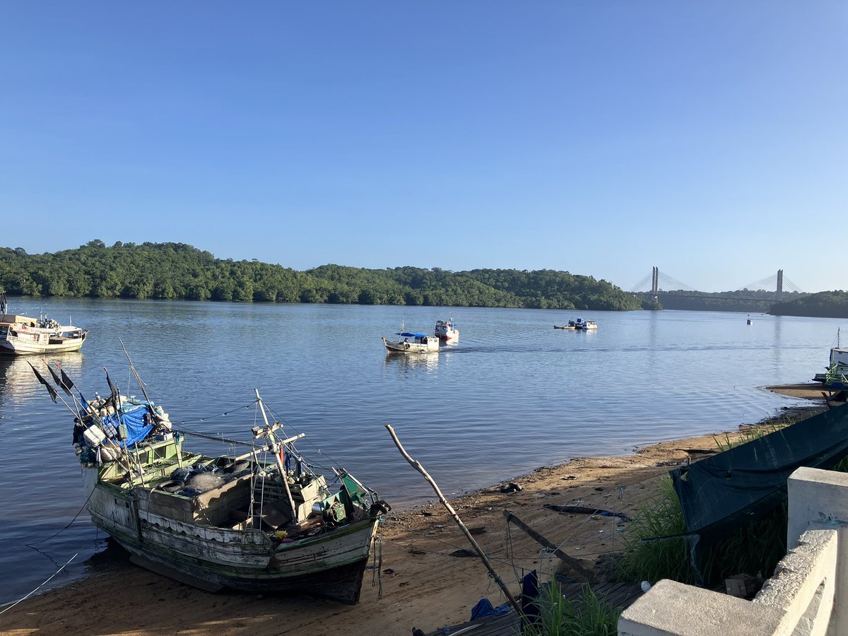 UAR_LEEISA tweet media