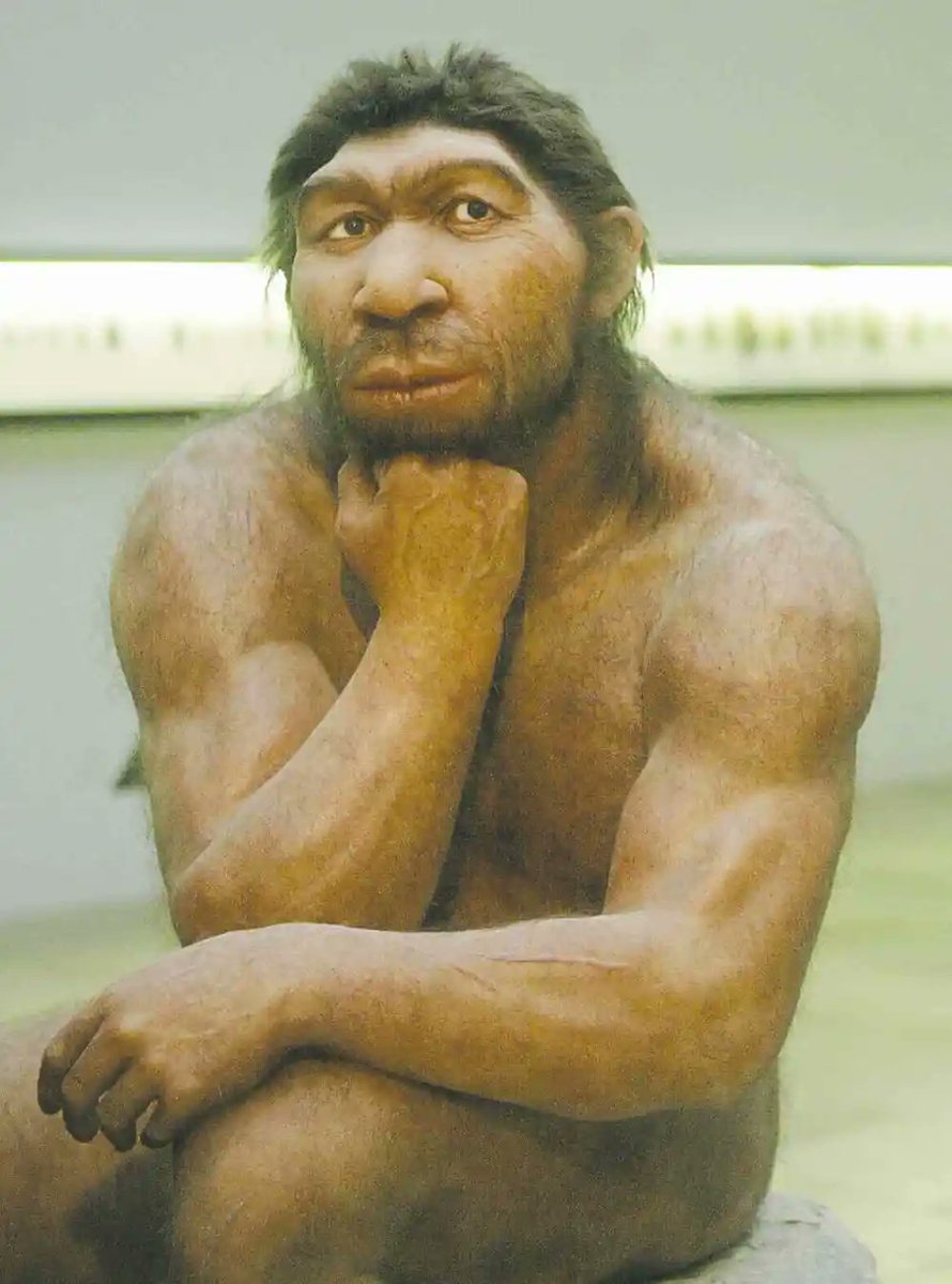 Quakitus's tweet image. &quot;YO THEYRE RAIDING THE BASE BRO&quot;

the humble recallingman at the dawn of time: