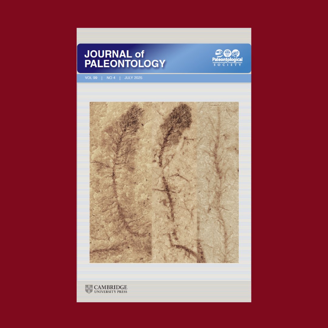 CambUP Earth and Environmental Science tweet media