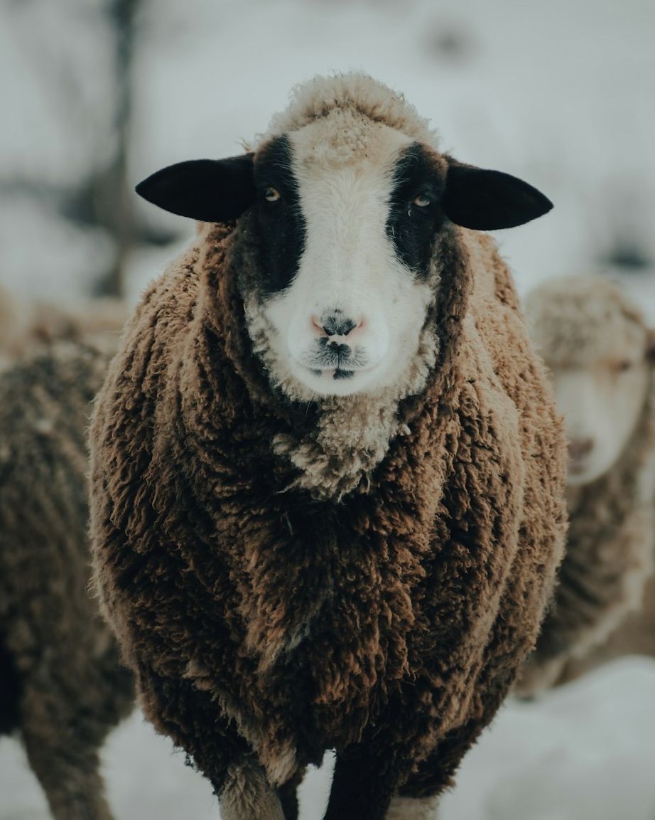 NewHopeUMC_VA's tweet image. “Wisdom is the capacity to see things from God’s viewpoint.”—Charles Stanley

#NewHopeUMC #WednesdayWisdom