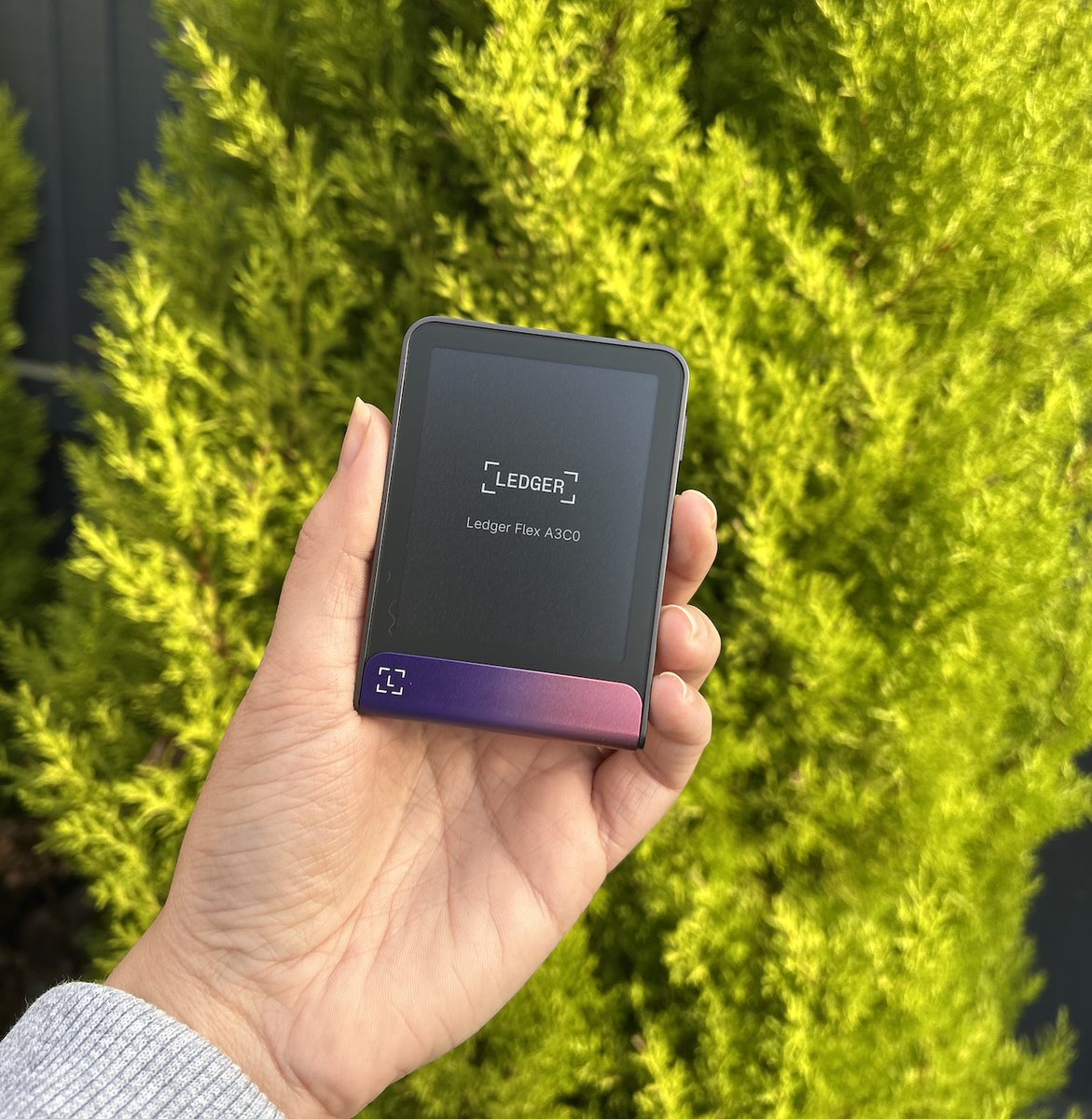 Ledger tweet media