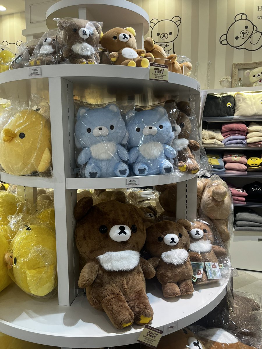 くま (@kumakumakumama) / Posts / X