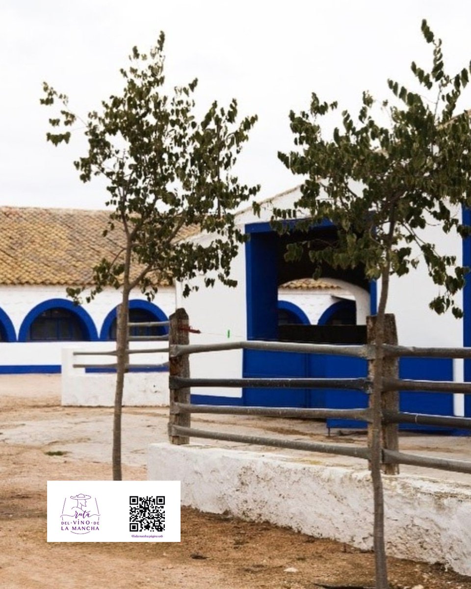 @ValdiviesoQuesoya es parte de la #rutadelvinodelamancha

Desde 1880 elaboran su 🧀 manchego de granja artesano con la leche de sus 🐑, que pastan en una finca entre Argamasilla de Alba y Alcázar de San Juan que puedes visitar 

Tienda📍Campo de Criptana
🌐quesovaldivieso.com