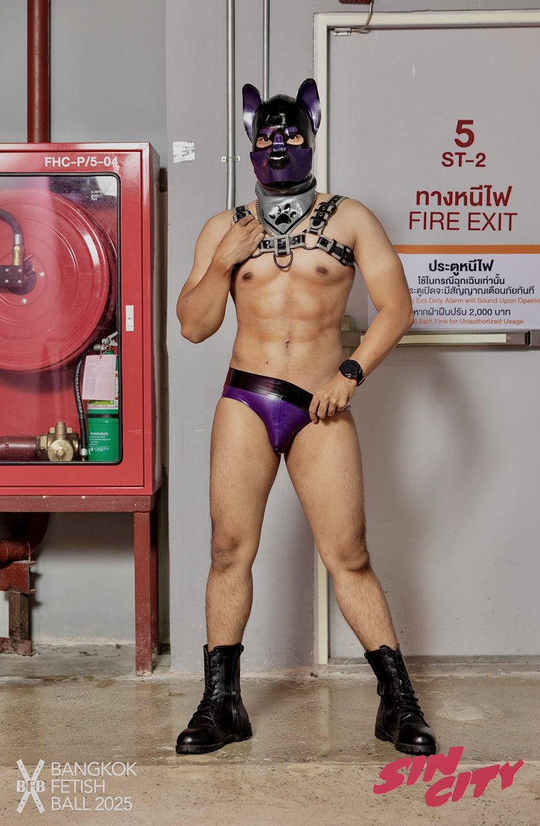 PupJIFU🐈 tweet media