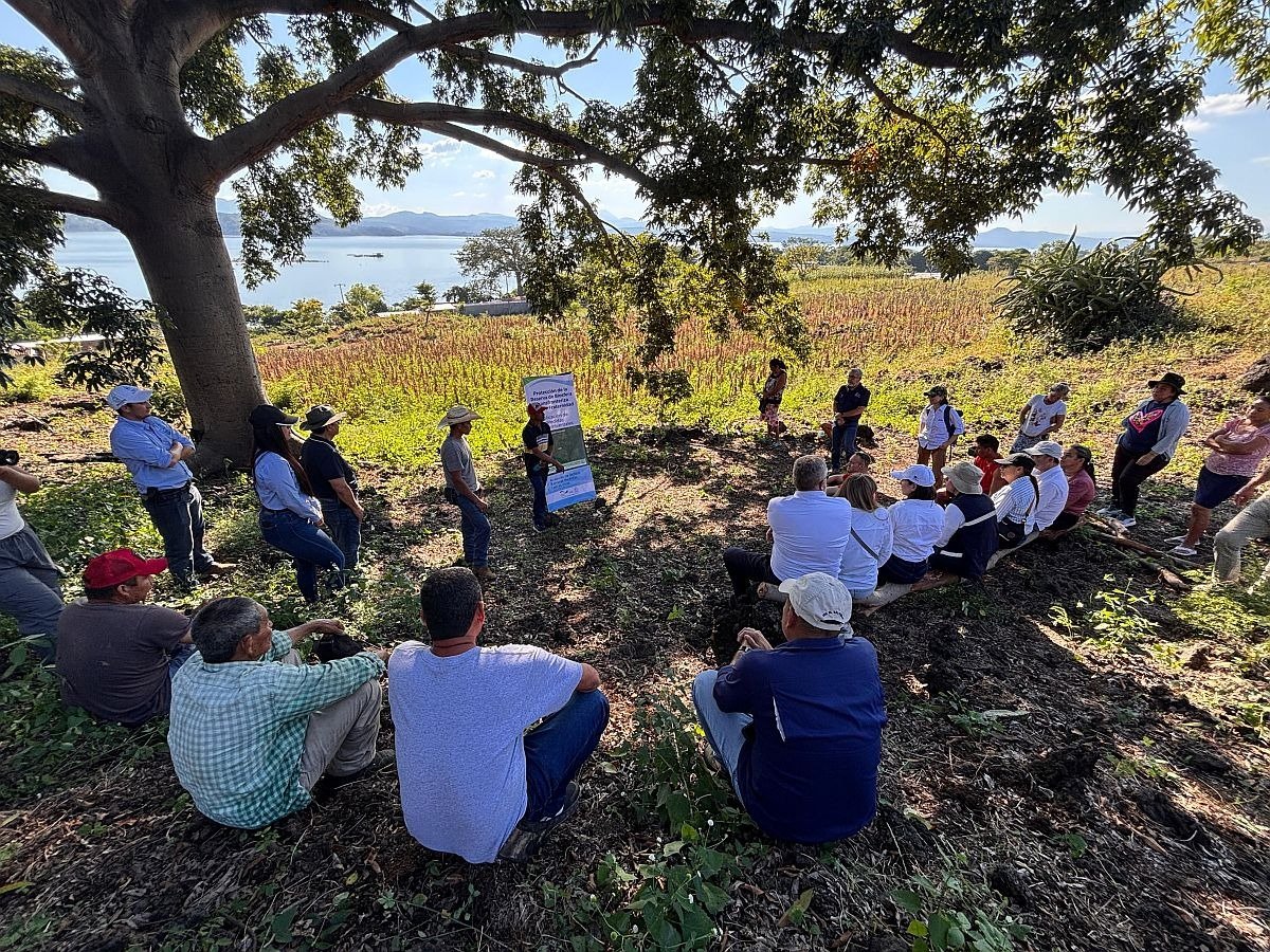 #DePaís El embajador de Alemania visitó la Región Trifinio

Junto a una delegación, verificó avances de iniciativas financiadas por la cooperación alemana.

diarioelsalvador.com/el-embajador-d…