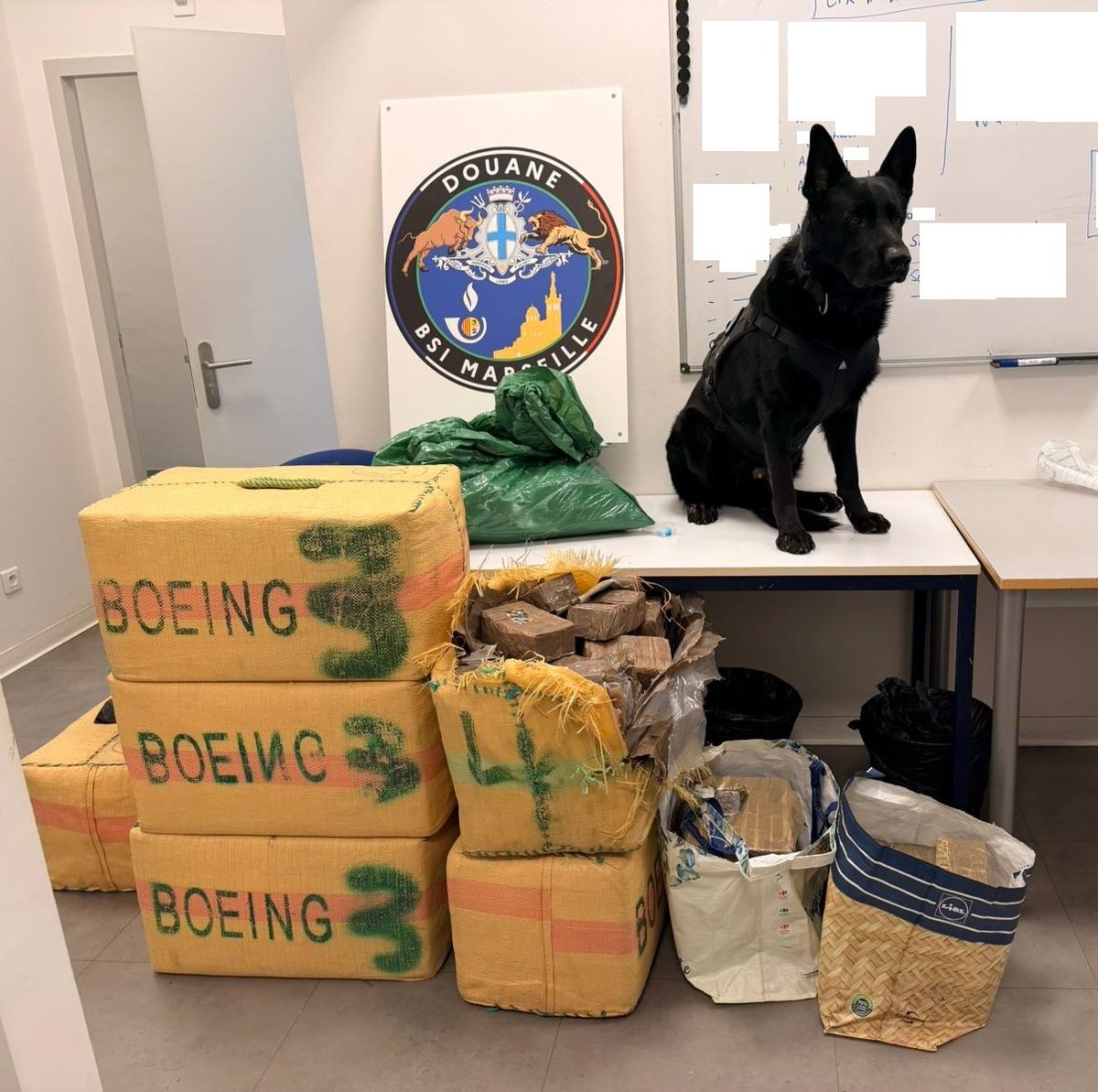 douane_france's tweet image. 🚨 #AffaireduJour | Les douaniers de Marseille ont intercepté 329 kg de cannabis et 27 kg de cocaïne dissimulés dans un chargement de fruits et légumes frais. Grâce au flair d’une équipe cynophile, plus de 4 M€ de drogue ont été neutralisés.

🫱🏻‍🫲🏼 Après inspection, les 404…