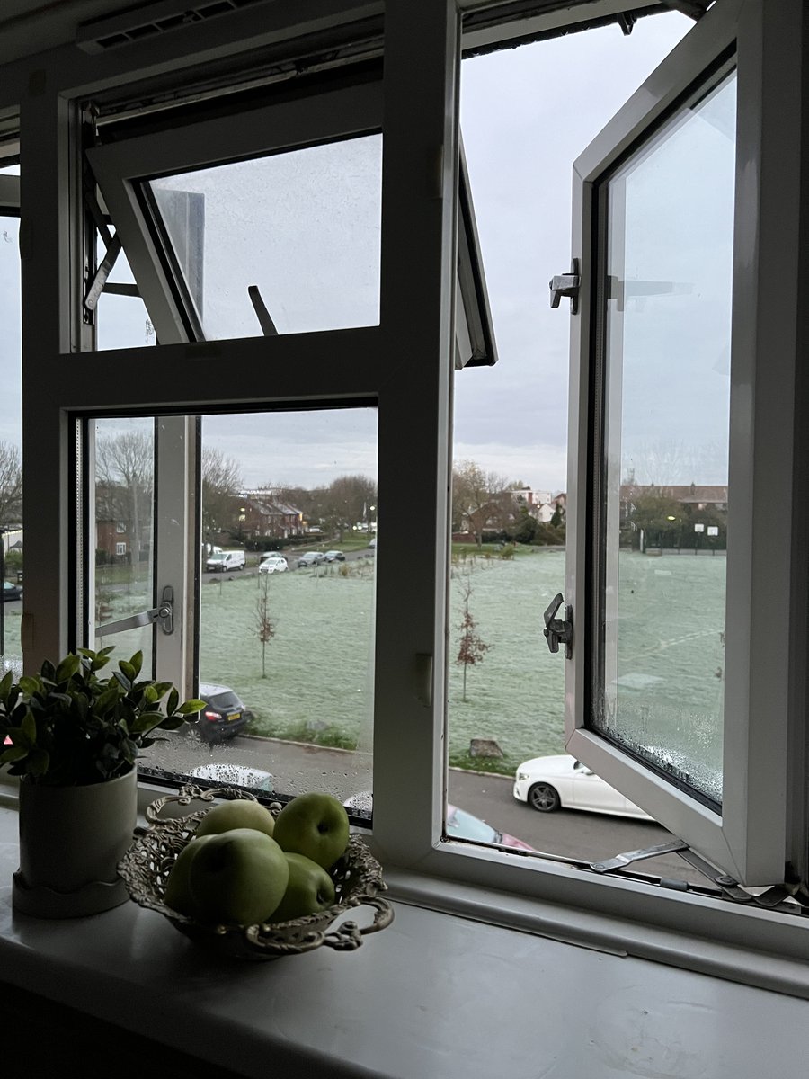 AdeelaCSV's tweet image. I need motivation, send help