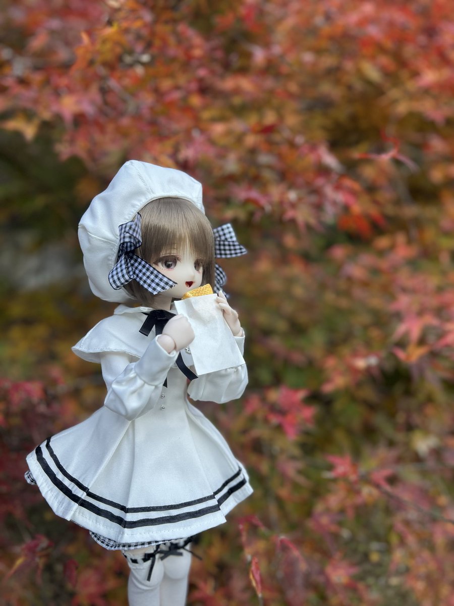 inuiwan__'s tweet image. 二人で食べると美味しいね^. ̫ .^ 🎶

 #おぺちゃんこ
 #いるみなどーる
 #Urbs_Florum