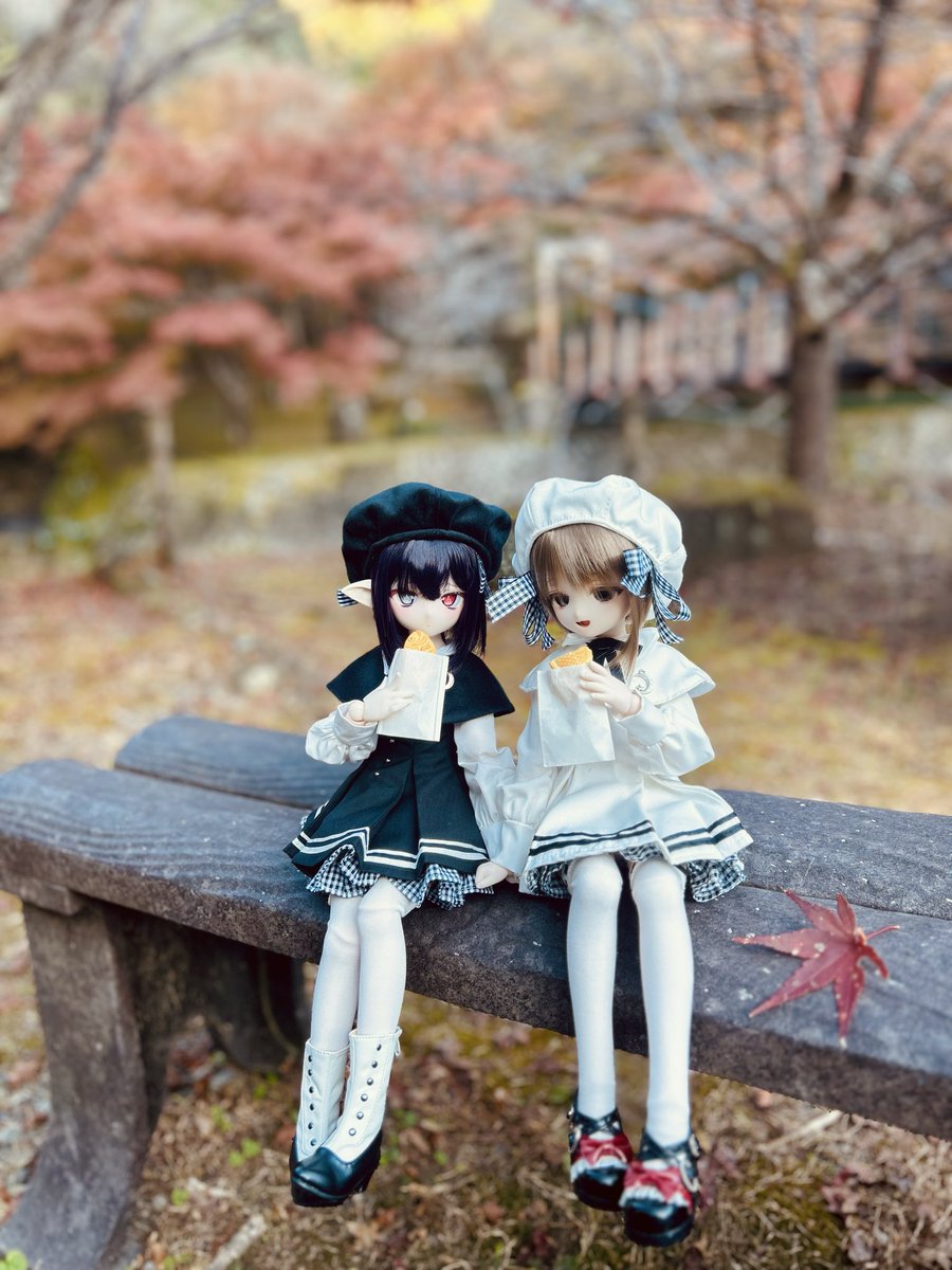 inuiwan__'s tweet image. 二人で食べると美味しいね^. ̫ .^ 🎶

 #おぺちゃんこ
 #いるみなどーる
 #Urbs_Florum