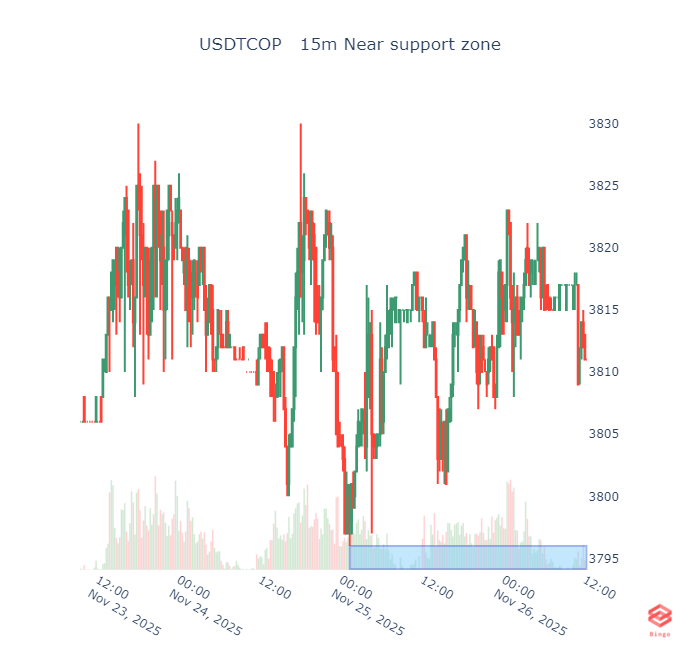 Bingo Crypto Scanner tweet media