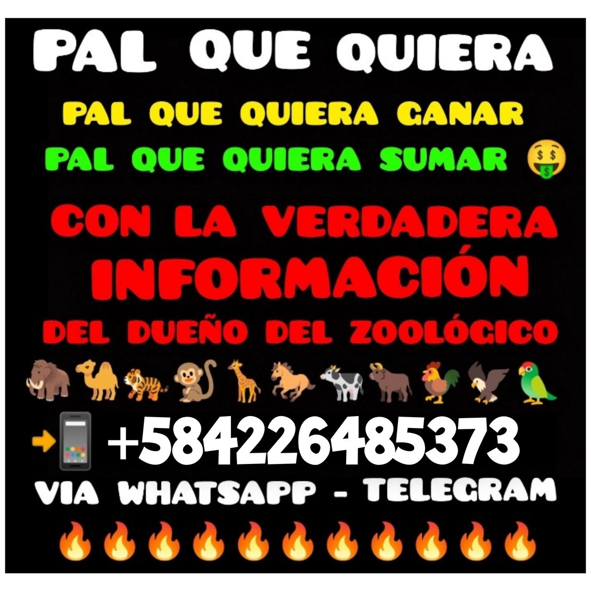 PabloJota27's tweet image. ((( #ANIMALITOS ))) Con ToooDooo Vamos Hoy Para Seguir Ganando Con La Verdadera Información Del Dueño Del Zoológico Y Si Te Suscribes Hoy Juegas Por 12 Días Hasta El Domingo 07 &quot;VENTE VIEJA&quot; Que El ANIMALITO MÁS FIIJOO #LOESTANBAÑANDO Me Gusta De RooBoo Y #DEQUESALESLE 👇👇👇
