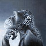 OktobersDead's tweet image. If u need help there’s a lines you can call instead of talking to yourself on twitter