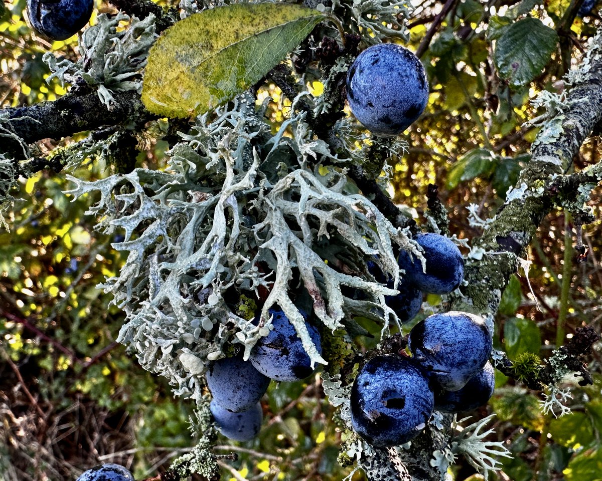 David Winter tweet media