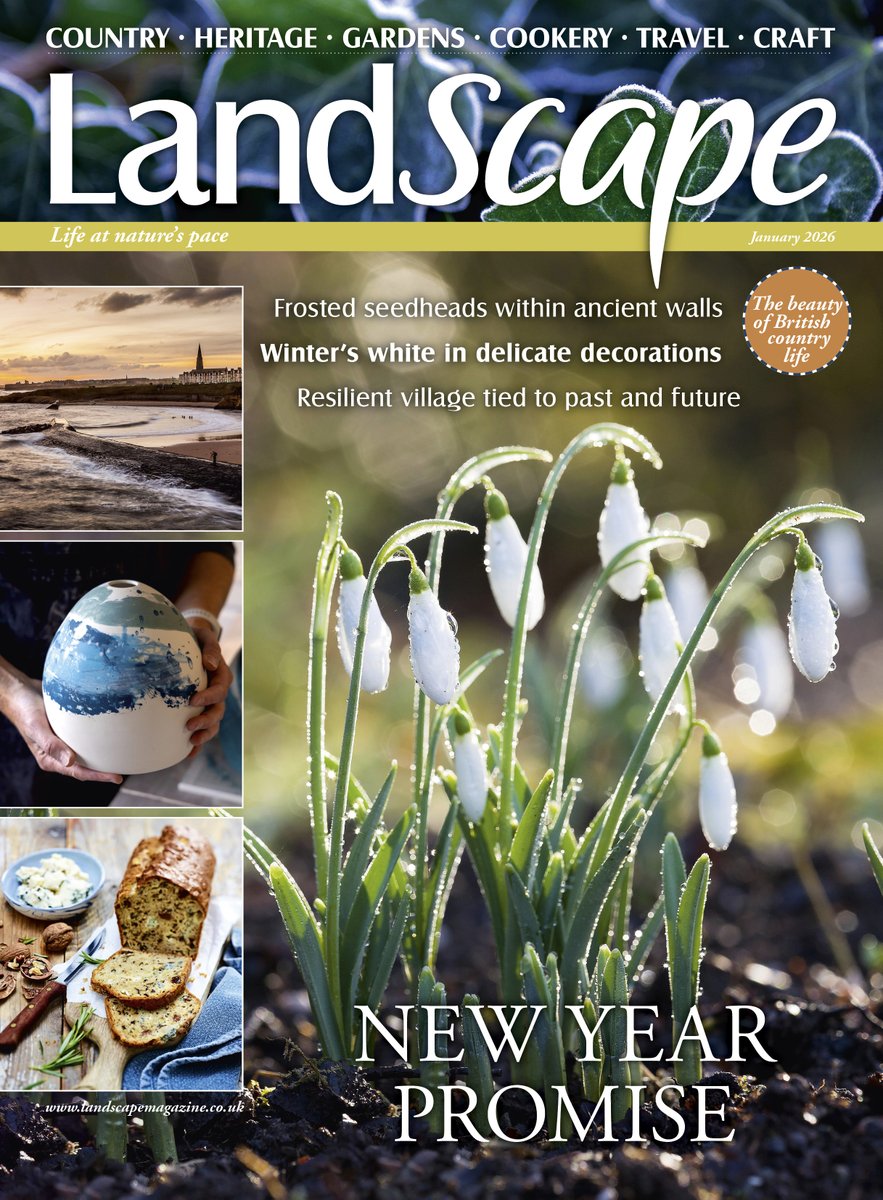 The January issue of LandScape goes on sale today, packed full of decorative crafts and delicious recipes, from tasty sharing plates to celebrate the new year to citrus desserts, and a Blue cheese and walnut loaf! Subscribe today and never miss an issue: greatmagazines.co.uk/landscape-maga…