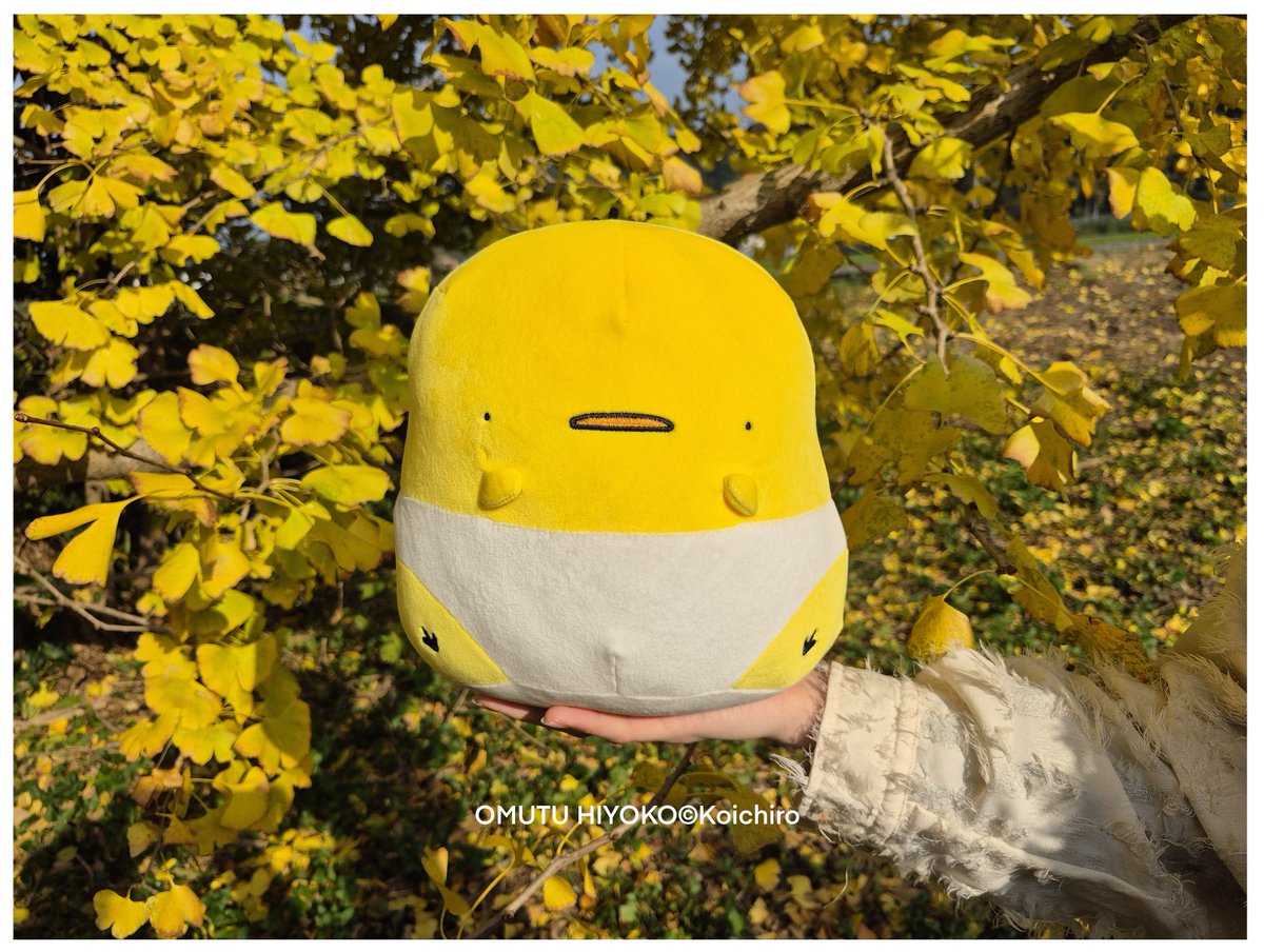 むちむちひよこちゃんペア（おむつver.） おむつひよこと出会った日。🐣🤭✨ ファンの皆様のおかげさまで