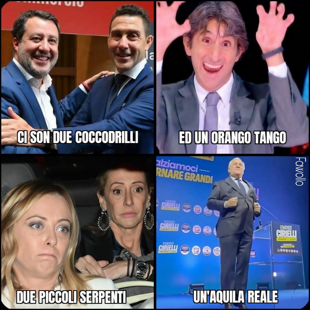 #Donzelli #Salvini #Vannacci #Meloni #Taiani