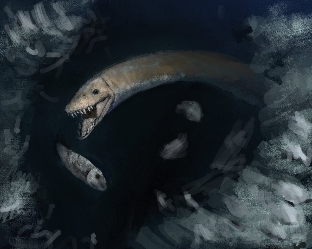LinenCheeser's tweet image. sketch of elasmosaurus and school of fish