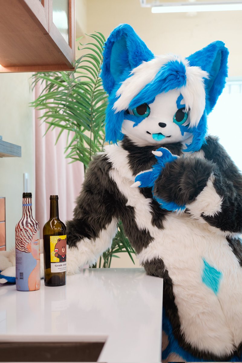 Antarctica_Ica's tweet image. #FursuitFriday #Antarctica_Ica🐧
📷: @DonDon_Fur

오늘은 너가 요리사!🍳
대신 먹는건 같이 해줄 수 있어! 💙