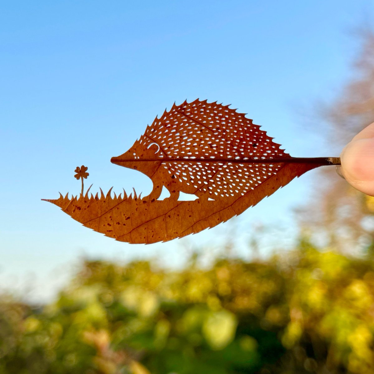 lito_leafart's tweet image. ｢ちいさなしあわせ、みつけた🍀｣

#葉リネズミ