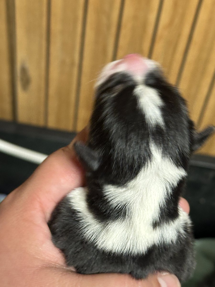 84g (@8844gg) / Posts / X