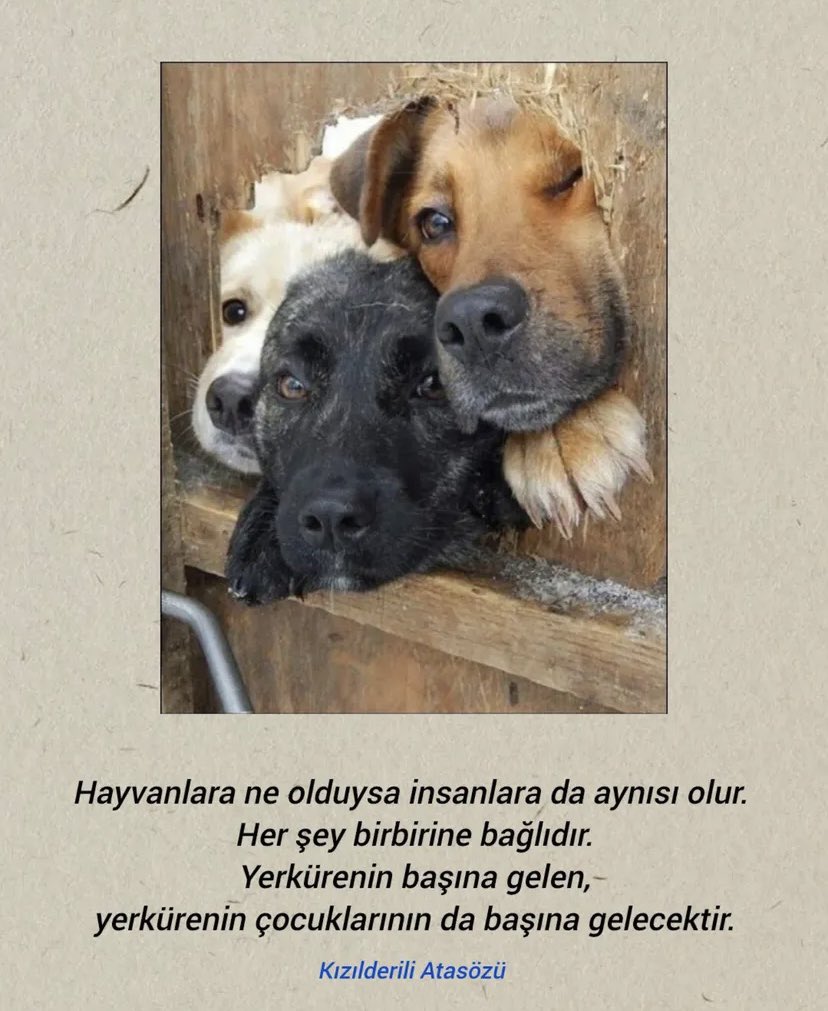 Dengeyi sağlayamazsınız sistem çöker …