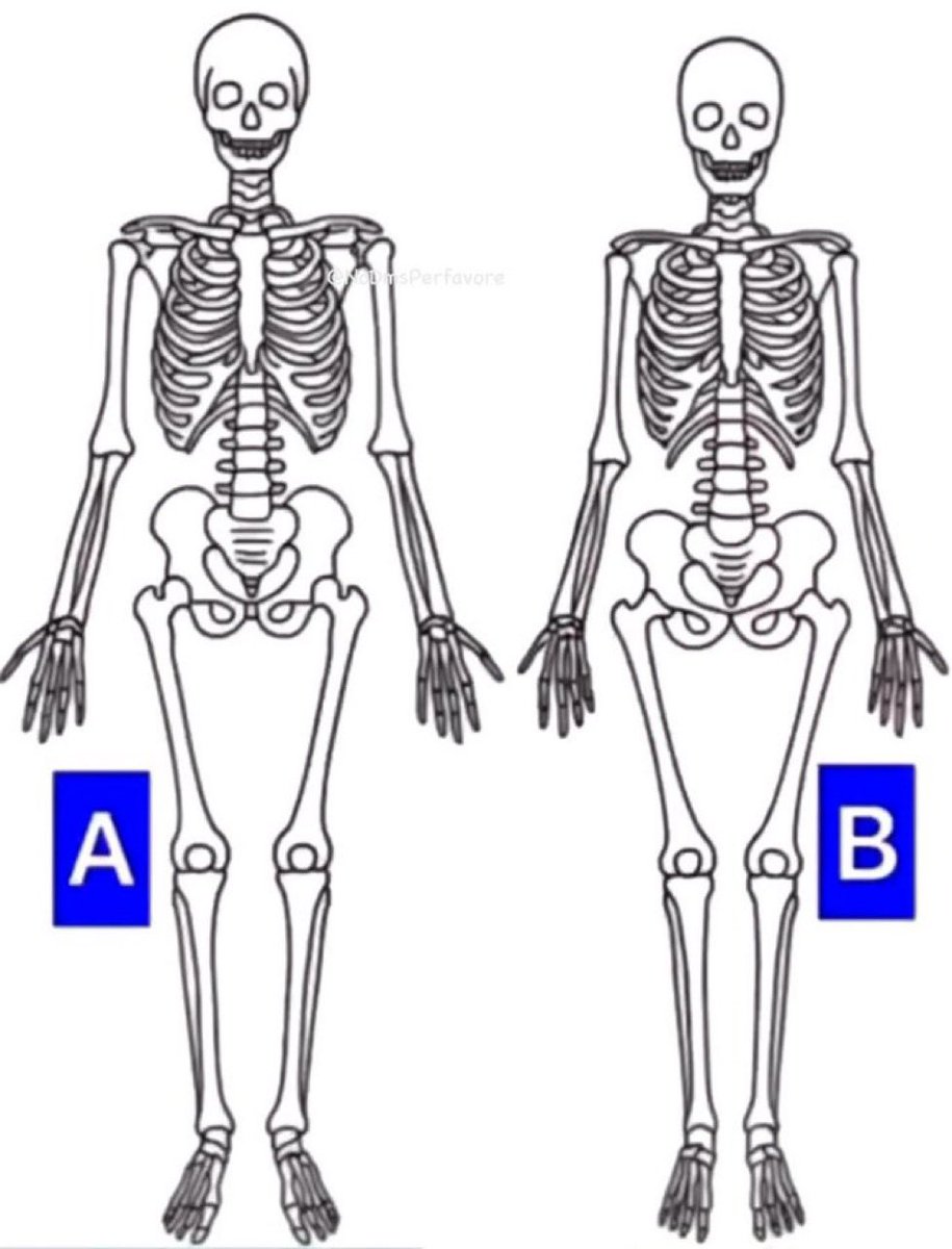 Which one is a female??
#MedTwitter