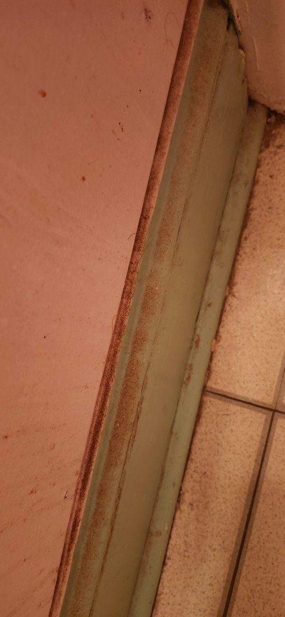 “I’d say condition is like a 6/10, just needs a quick wipe down”