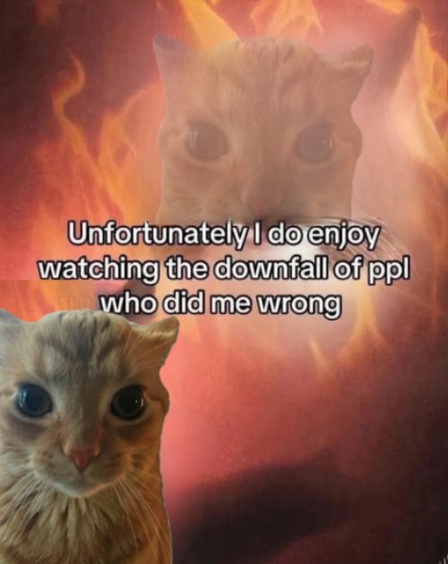 gakstercat's tweet image. 