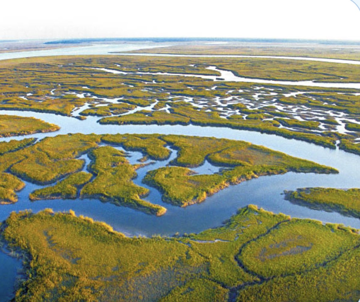 pepcanadell's tweet photo. 1/2  

For Biospheric Modelers  

There is a new activity led by @benpoulter at SPARK, supported by the GCP, called Warming Induced Emissions-Model Intercomparison (WIE-MIP).   

There is a call for involvement and a funding opportunity with a deadline at the end of November. https://t.co/f2toP7F45b