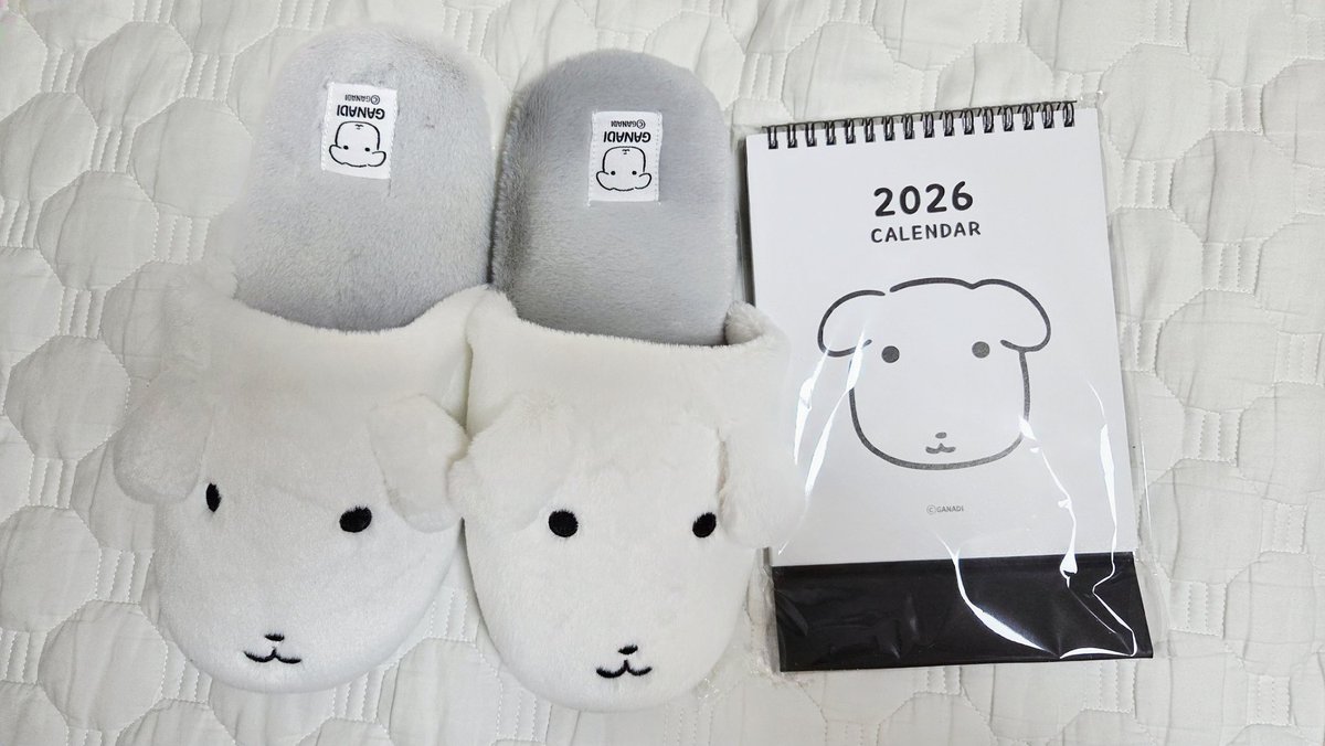 jengnim's tweet image. 친구가 생선으로 보내준 것 중 가나디 슬리퍼가 이제 배송되서 뒤늦게 사진을 찍어보고 히히 감사합니다 그립톡도 보드에 이쁘게 부착하다